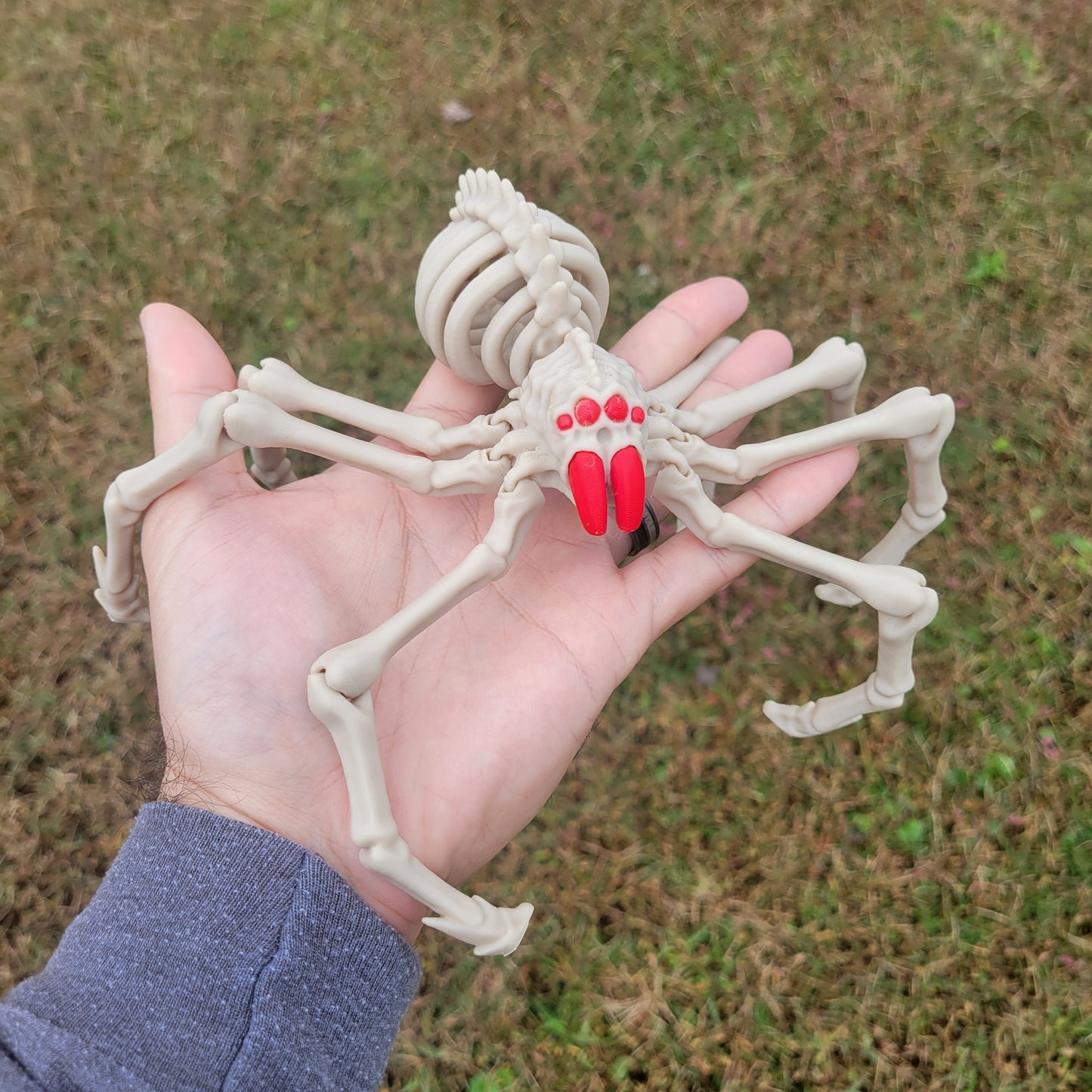 Skeleton Spider Small