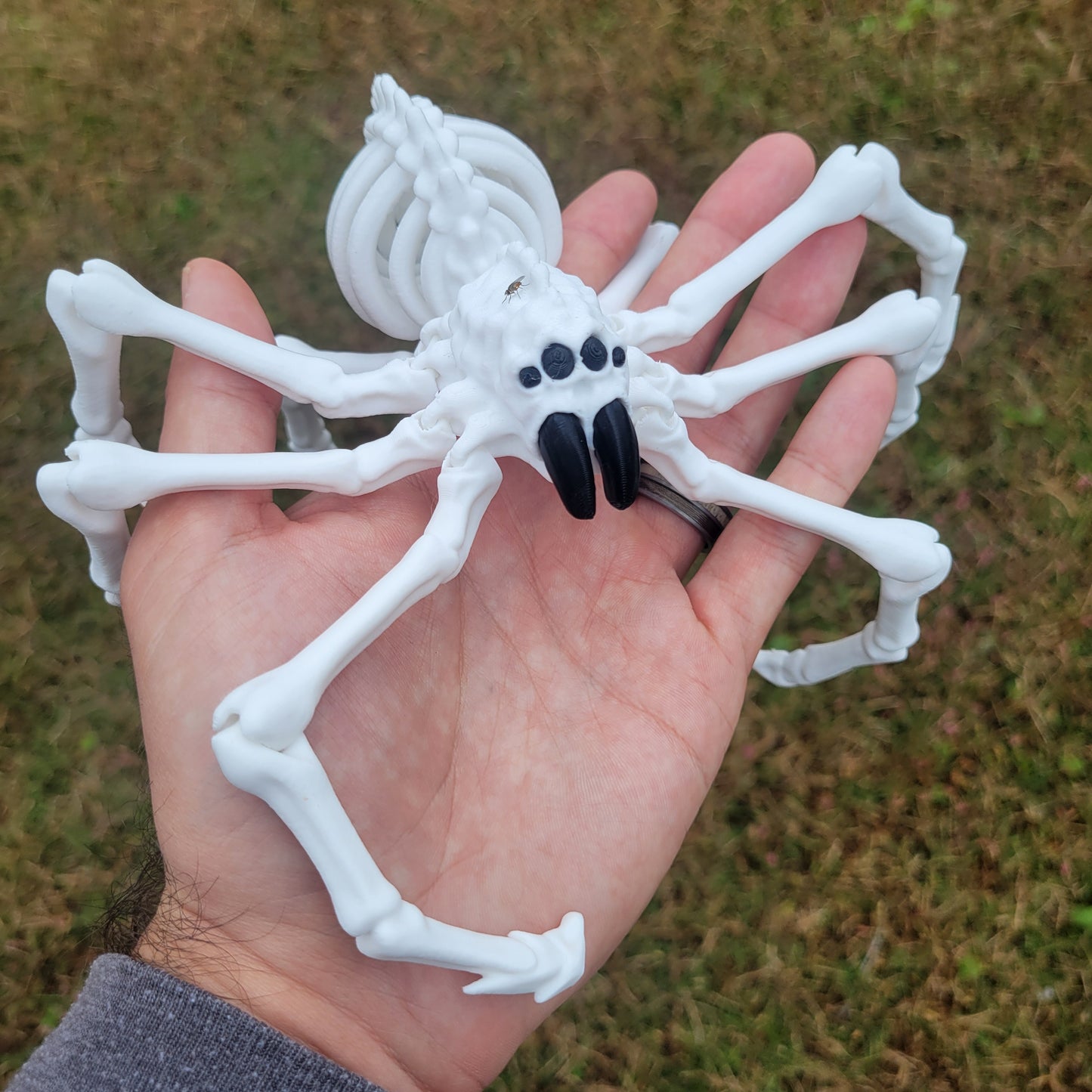 Skeleton Spider Small