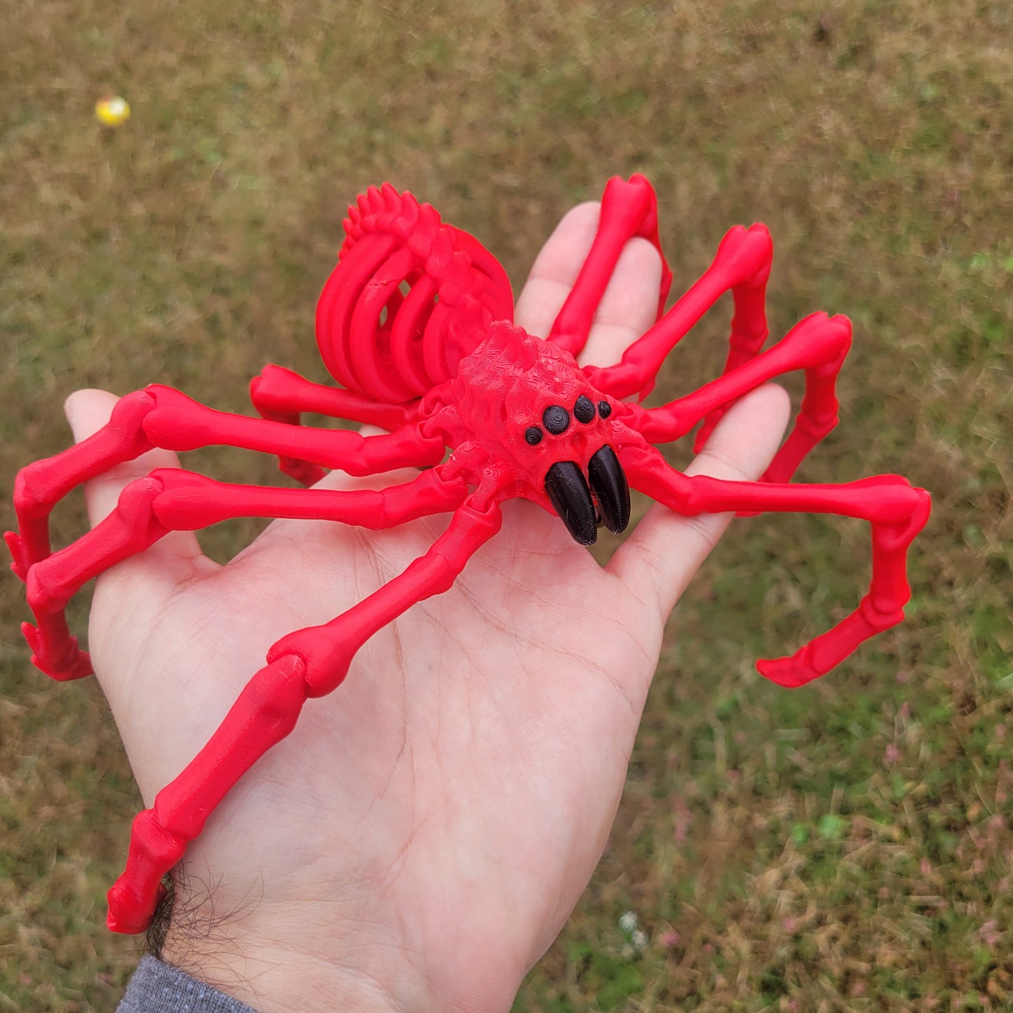 Skeleton Spider Small