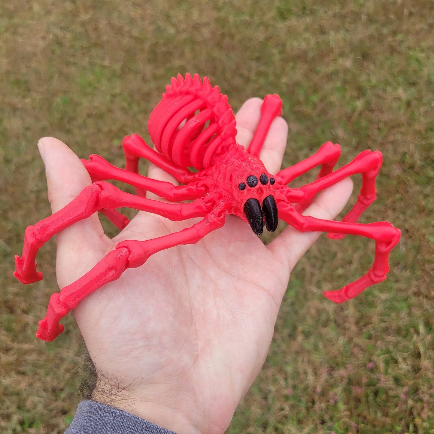 Skeleton Spider Small