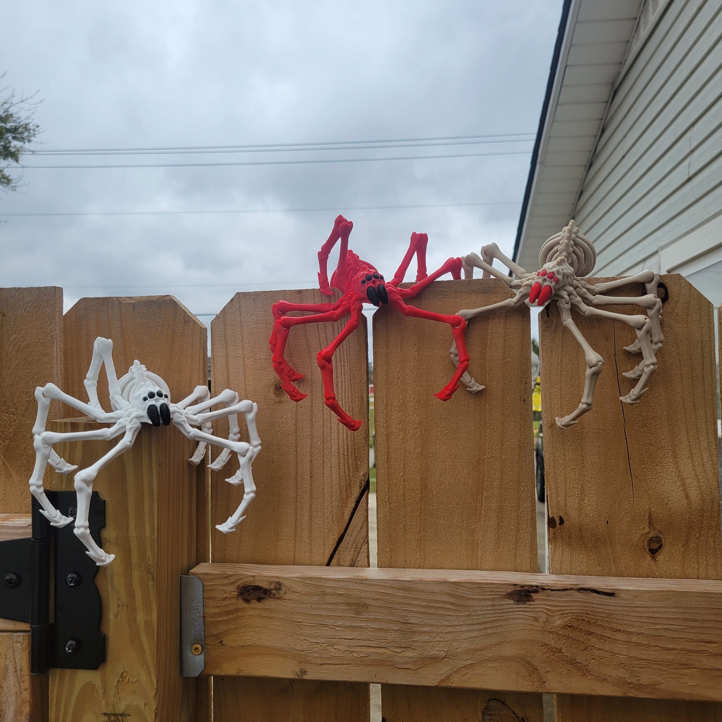 Skeleton Spider Small